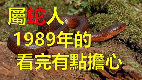 香港为什么不闹了 大林木命属蛇